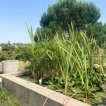 شقة Les Madones نيم