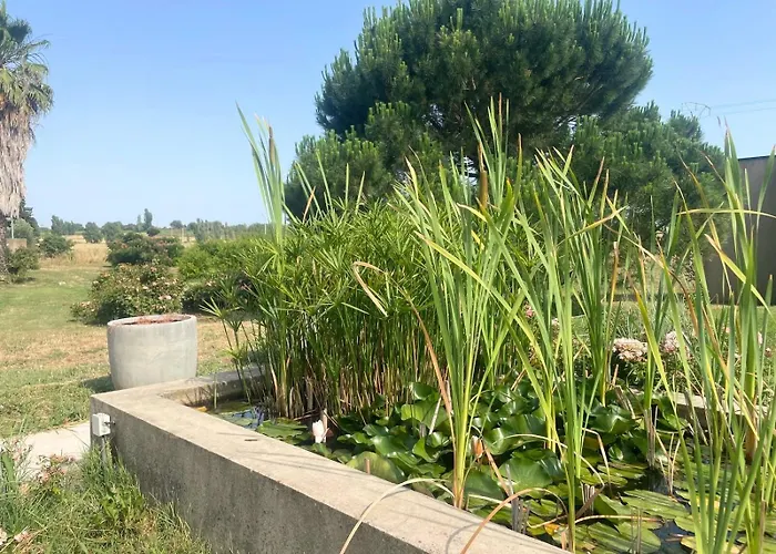 Apartman Les Madones Nîmes